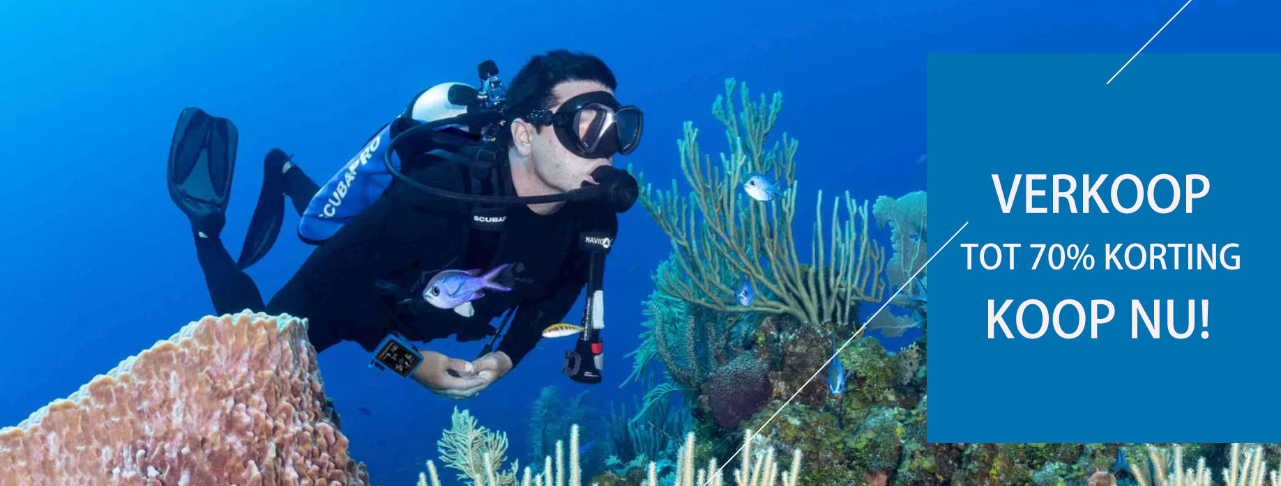 Zwemserie Winkel -Zwemserie Winkel DFGDG