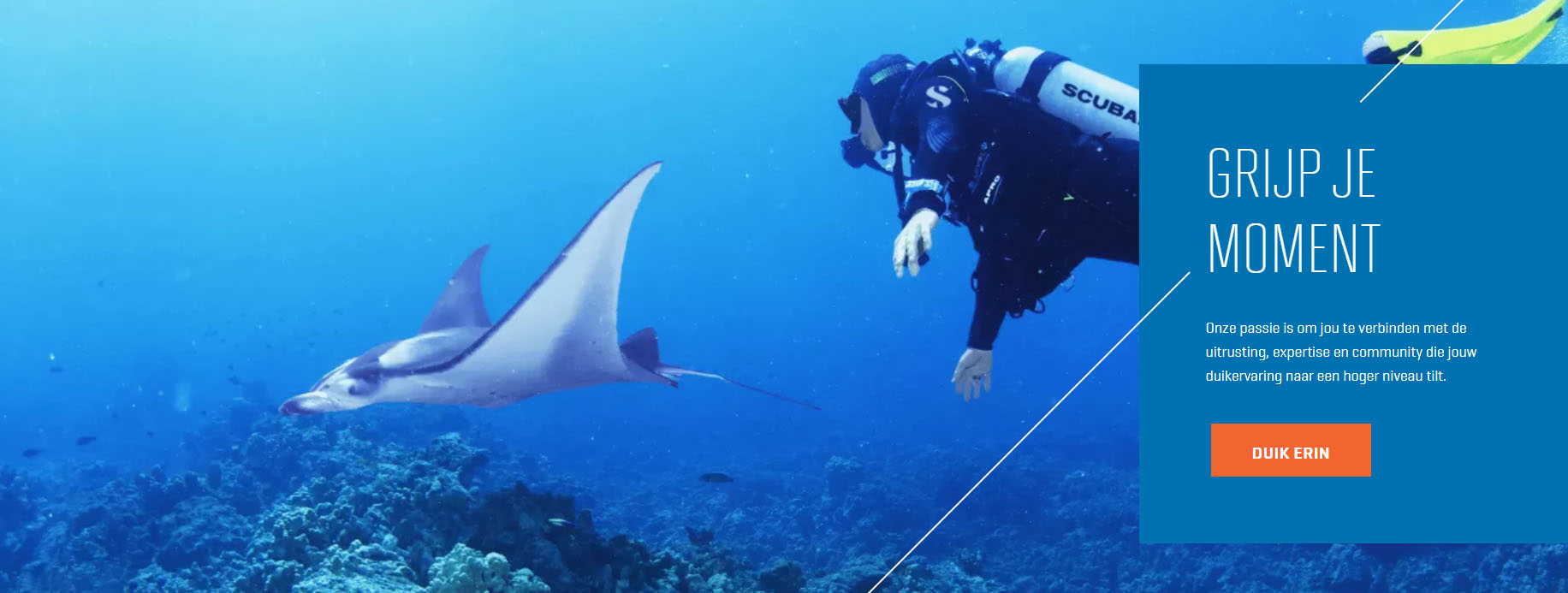 Zwemserie Winkel -Zwemserie Winkel dgfdfg